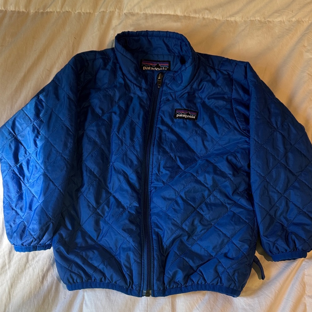Blue Patagonia jacket